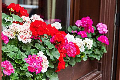 《使命召唤19》9月公布大量新情报 B测时间确定